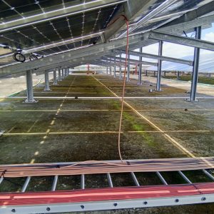 6a13c8aa-2690-450a-a809-f48ff5afec31